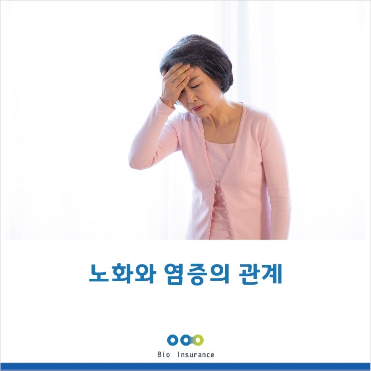  노화와 만성염증의 관계