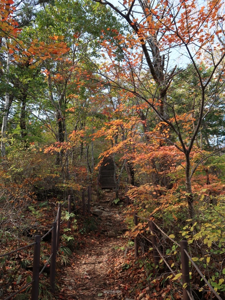  오대산 단풍산행, 상원사 비로봉 최단코스가 물드네