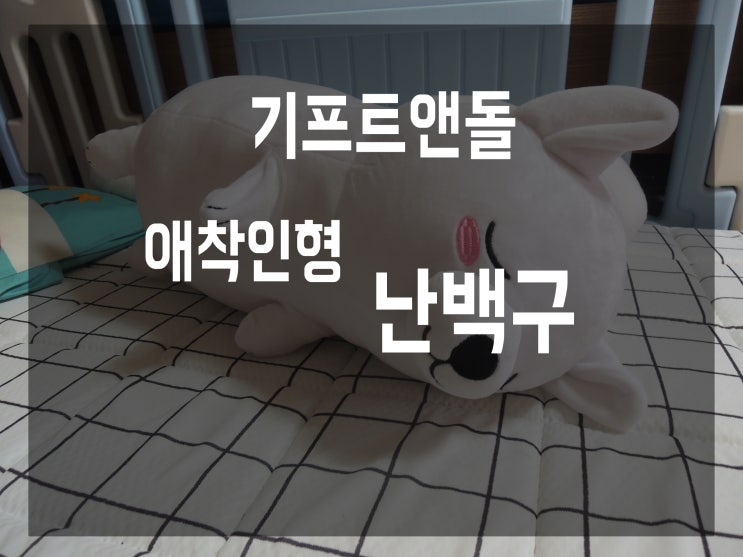  기프트앤돌 대형코블리코끼리애착인형, 나는 강아지인형으로 선택