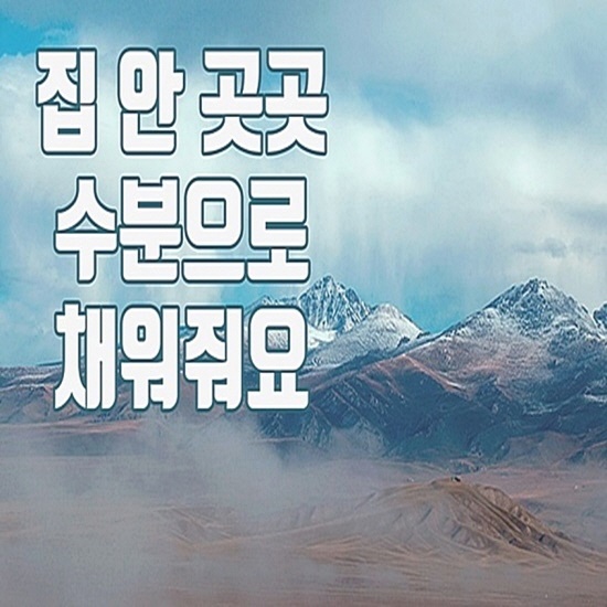  오아가습기 알아보다가