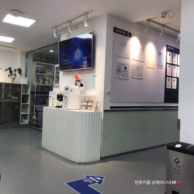  한중커플|한중부부 비나네: 중국국경절 상해일상, 띠디 병원행