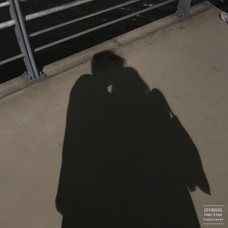  190920_ʜᴀɴ-ʟɪᴠᴇʀ,