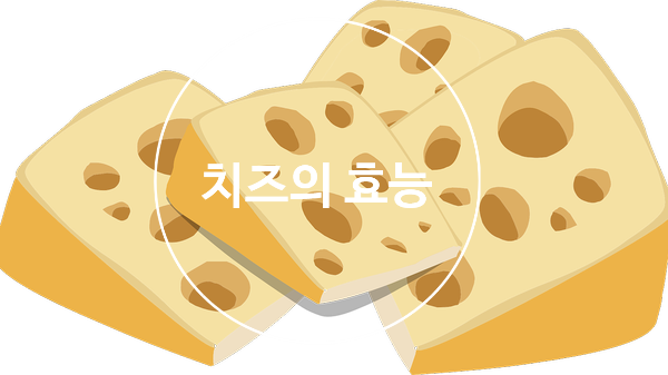  남녀노소 다 좋아하는 치즈의 효능과 부작용 살펴볼께요!