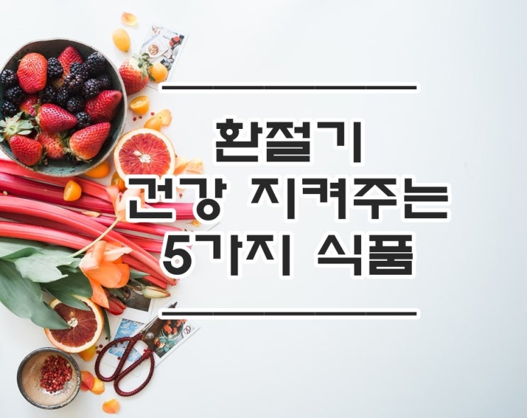  내돈내산 건강기능식품 5가지 추천