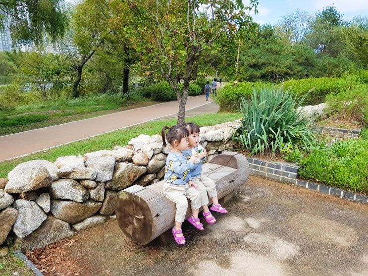  [쌍둥이 육아일기] 평화로운 30개월