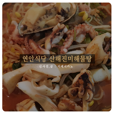  장안동 연안식당 배달 포장 후기 : 산해진미해물탕 꿀맛!