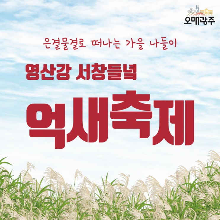  은결물결로 떠나는 가을 나들이 "영산강 서창들녘 억새축제"