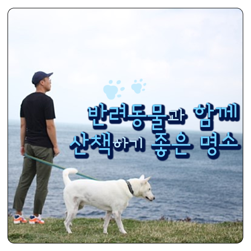  반려동물과 함께 산책하기 좋은 서귀포 명소!