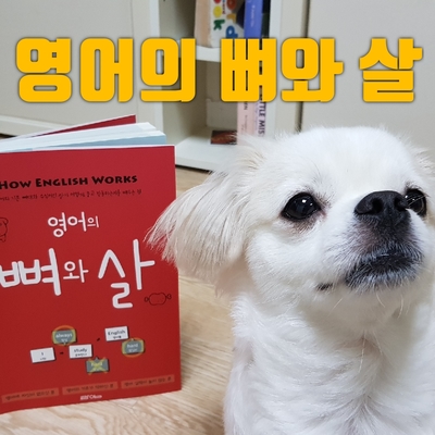  기초영어공부가 필요할 때 : 영어의 뼈와 살