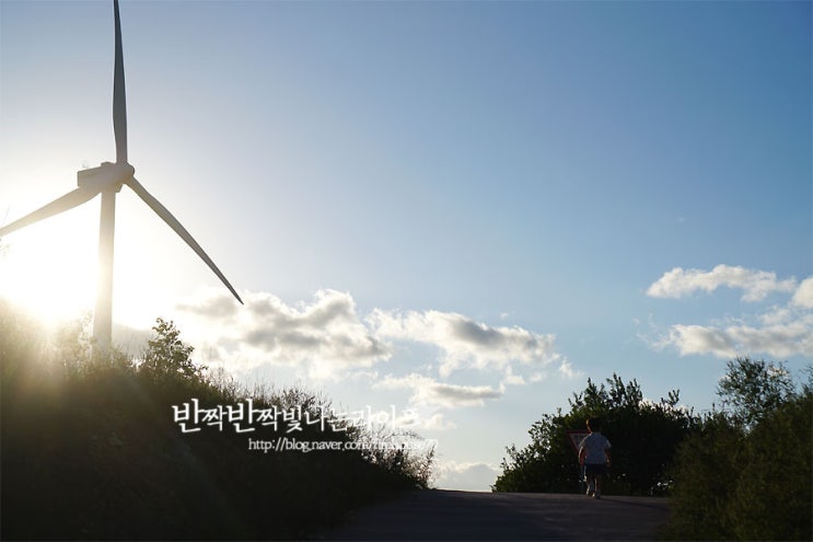  경주 사진찍기좋은곳 , 풍력발전소 바람의언덕