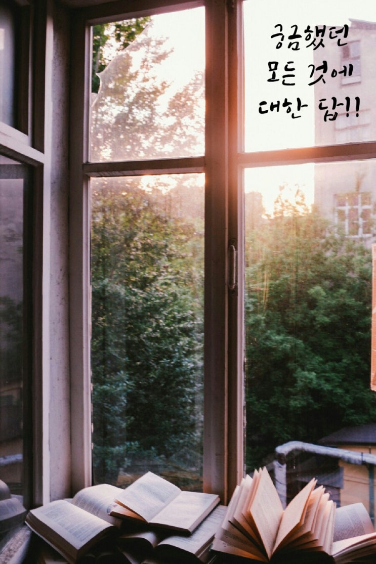  궁금했던 모든 것에 대한 답!!