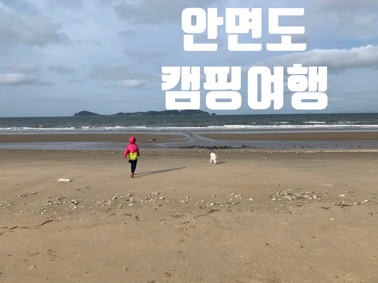  안면도 캠핑 그리고 안면도 대하축제 방문기