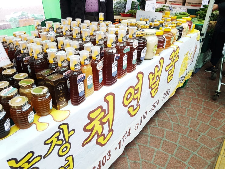  과천 경마공원 직거래장터 같이 구경해봐요