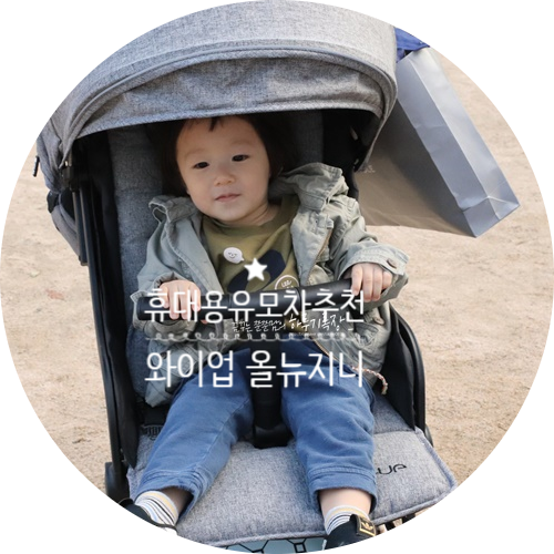  와이업 올뉴지니 , 5세 2세 남아 모두 즐기는 휴대용유모차추천 