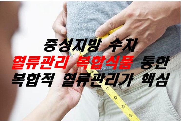  중성지방 수치 정상화, 복합적 혈류관리가 핵심!