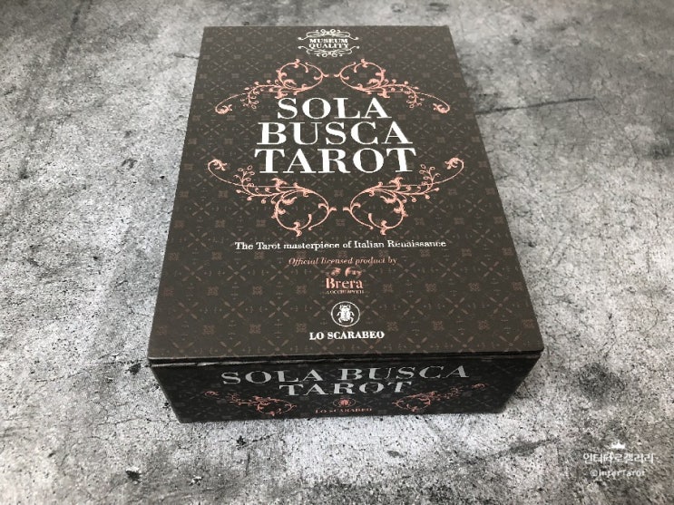  솔라 부스카 타로카드 Sola Busca Tarot  인터타로