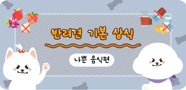  [레이펫] No.4 반려견 기본 상식 / 음식 편(2) / 주지말개