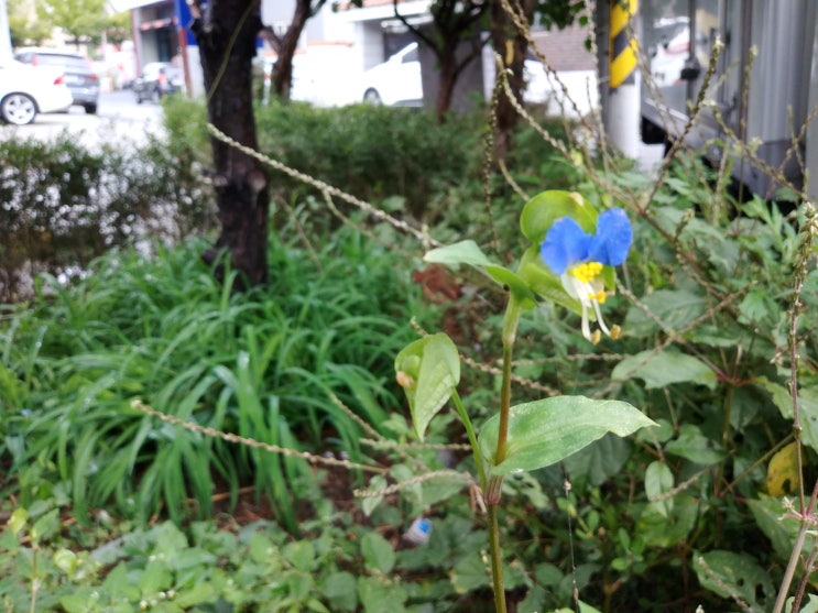  오늘에 운세 2019년 10월 11일 금요일 - 모험의 시작
