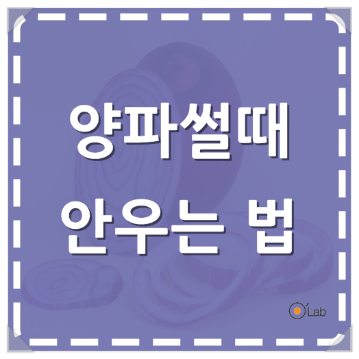 양파썰때 눈물 흘리지 않으려면 이렇게!