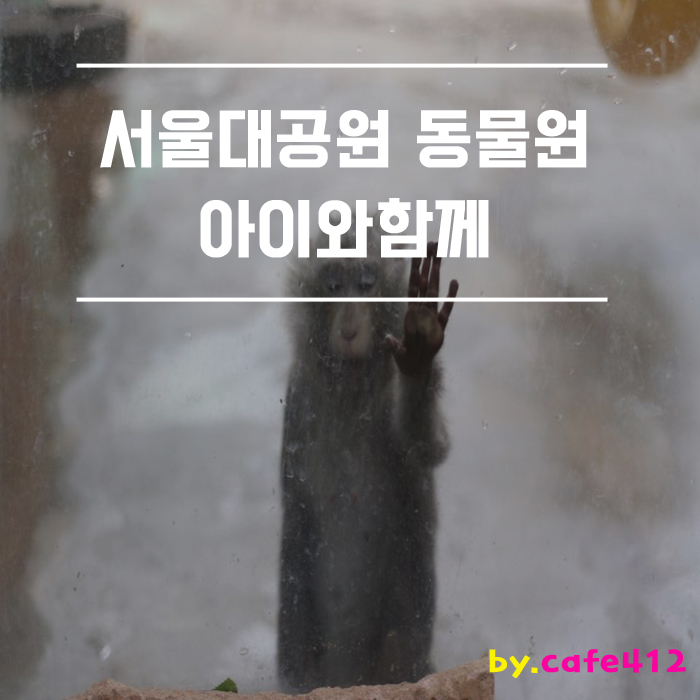  서울대공원 동물원 고만고만한 아이들과함께(9살,5살,4살,3살)