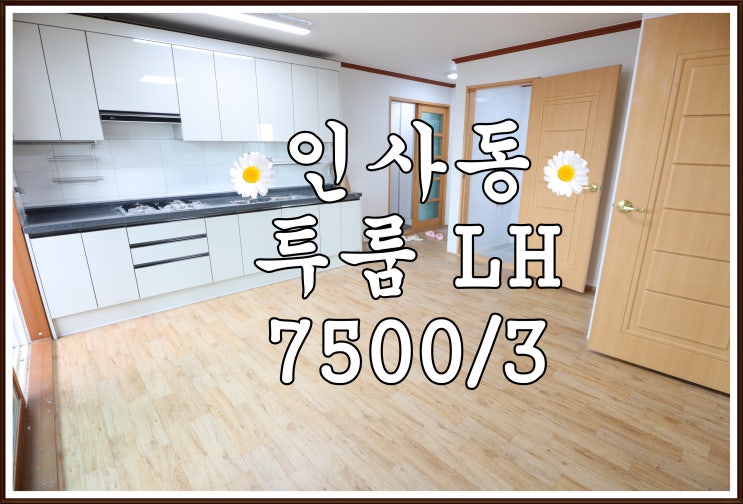  ️진주 투룸 / LH 가능한 인사동 투룸 부분리모델링 사이즈 좋아요️