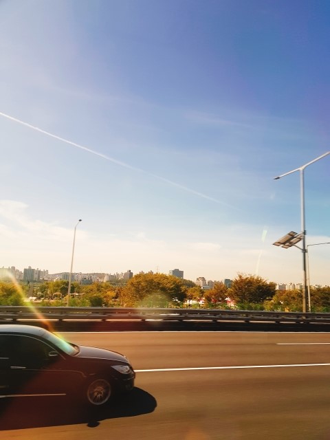  [임배메이드] 2019 할리스 커피 페스티벌 / 할커페 / 페스티벌 / 스텔라장 / 소란 / 정승환 / 에릭남 / 자이언티 / 10cm / 십센치 / 거미 / 꿀팁 / 준비물 / 필수 준비물