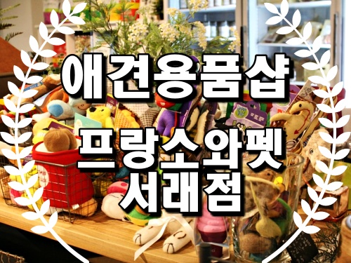  애견용품샵 프랑소와펫 서래마을점 쪼꼬 미용했어요