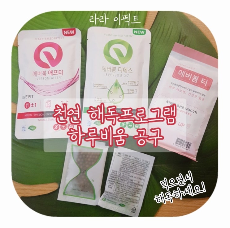  라라 이펙트 [하루비움] 디톡스 해독 다이어트 공구