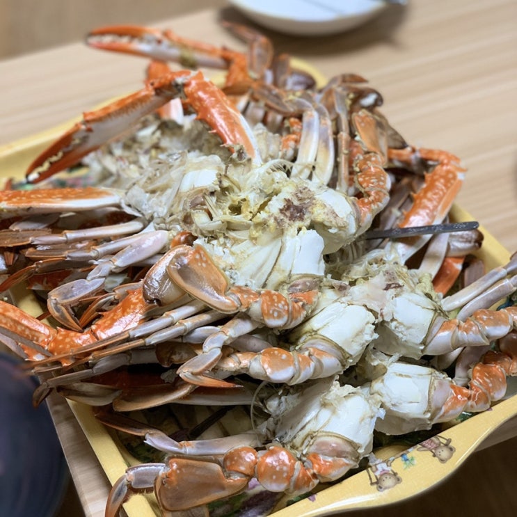  인어교주해적단 가을숫게 4kg 후기