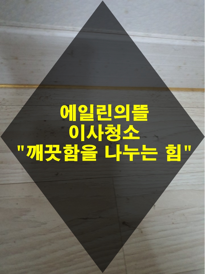  부산 국제 신도시 에일린의 뜰 이사청소는 꼼꼼한 요기