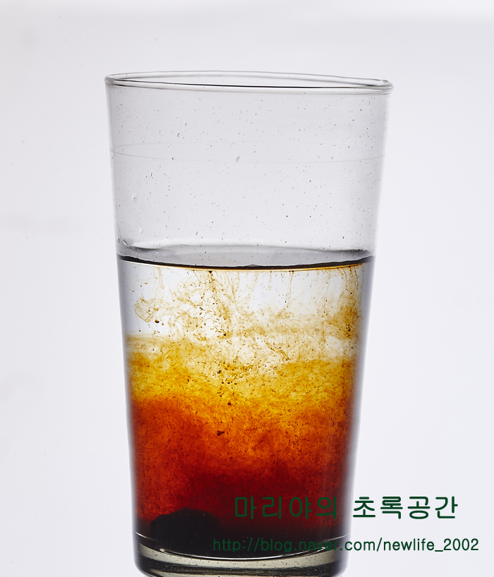  차가버섯차, 음용방법의 합리적 선택은?