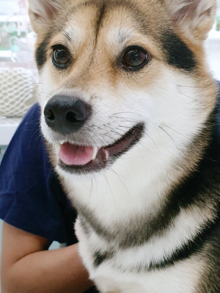  최적화