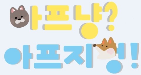  강아지 요도루조성술 (결석, 수술, 강남 24시 동물병원, 입원, 혈뇨) 