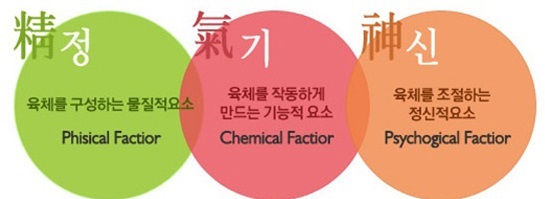  간신동원(肝腎同源) B> 독일 본(Bonn)대학 이종수 박사, '간이 크게 망가져도 신장만 튼튼하면 치유될 수 있는 희망이 있다'