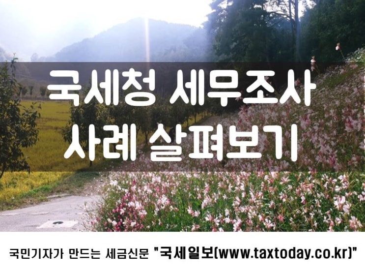  국세청 세무조사 사례 살펴보기