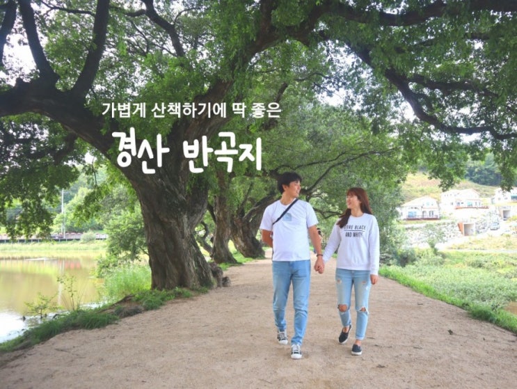  경산 반곡지, 가볍게 산책하기 좋은 부산근교 가을 여행지!
