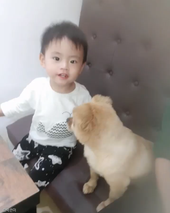 유기견 출신 강아지와 아이의 대화.."내 말 다 이해하지?"
