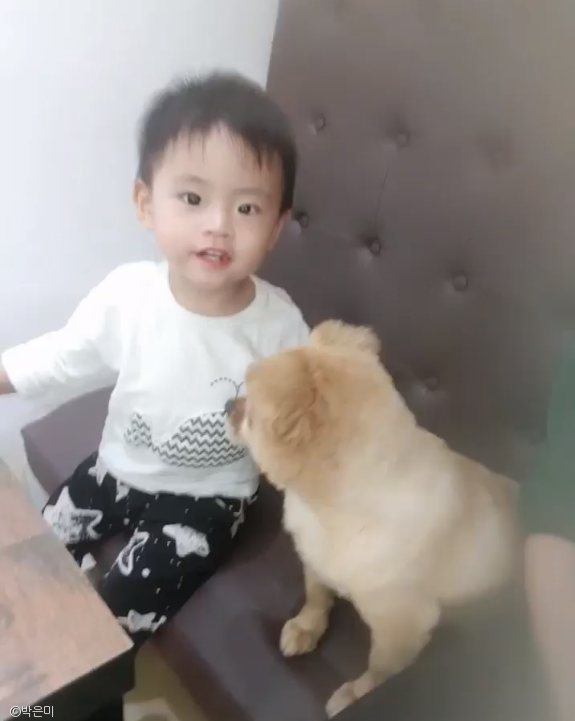  유기견 출신 강아지와 아이의 대화.."내 말 다 이해하지?"