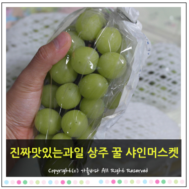  진짜맛있는과일 상주 꿀 샤인머스켓 믿고 먹을 수 있겠어요