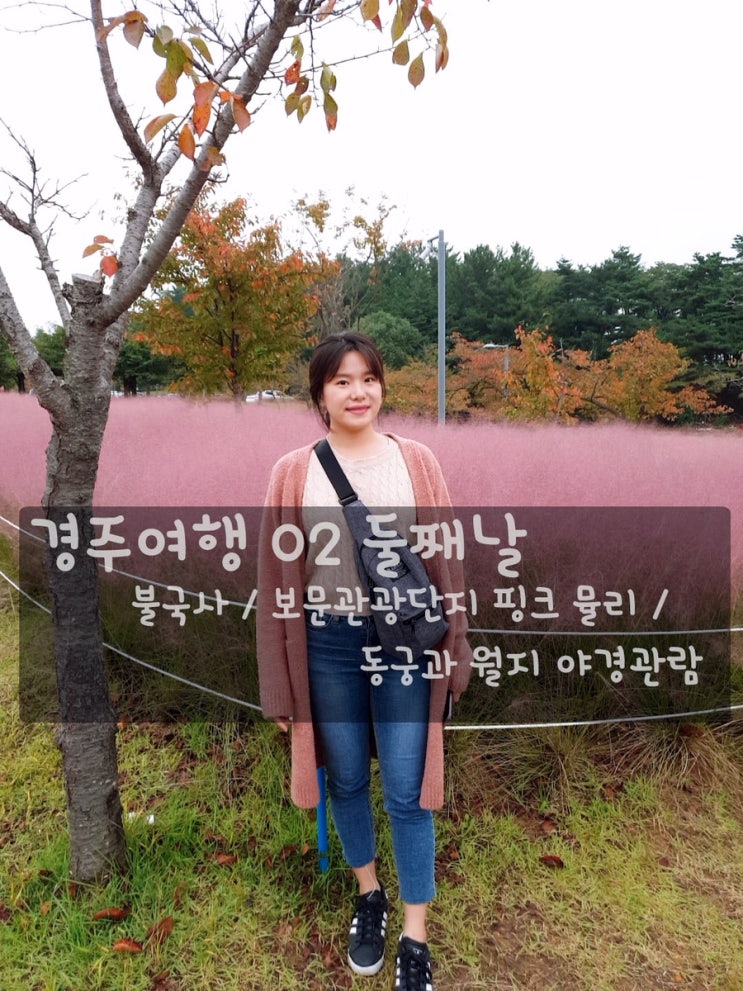  경주여행 02 둘째날 늘봄 / 불국사투어 / 보문단지 핑크뮬리 / 페이지나인 / 우마왕 / 동궁과 월지 야경 관람