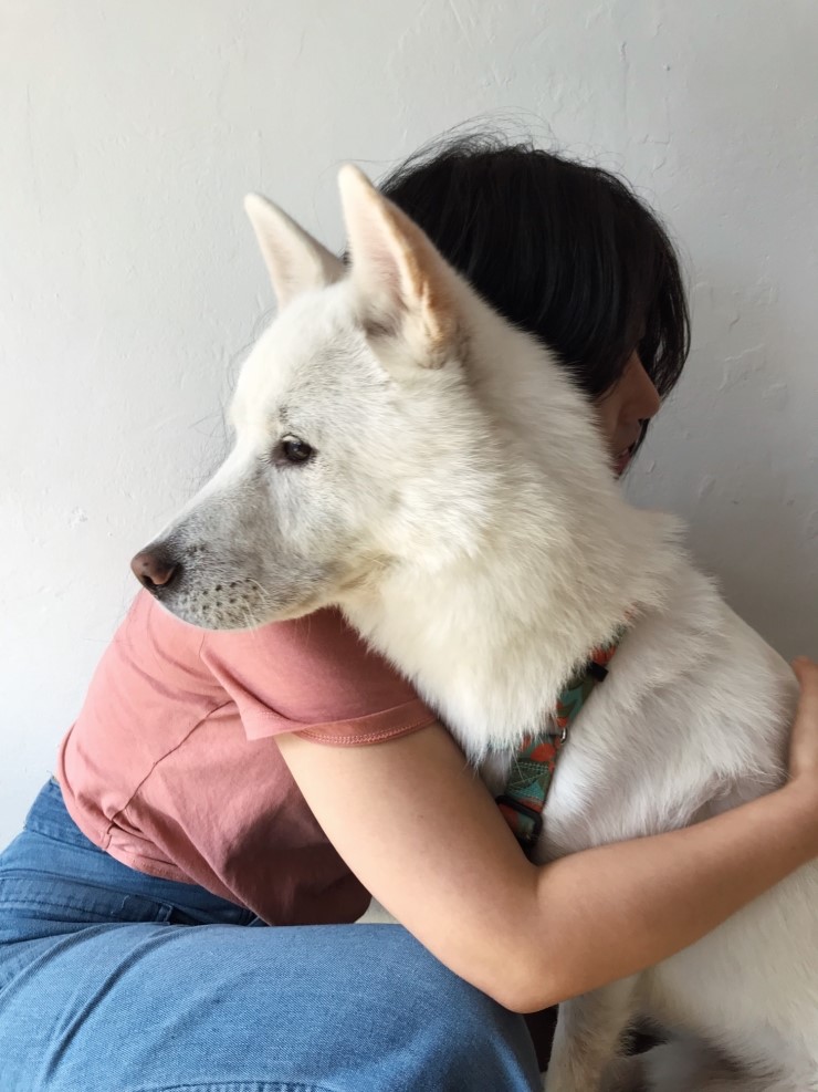  [텍스테 일상] 개 좋아하는 이야기와 아빠 이야기. 