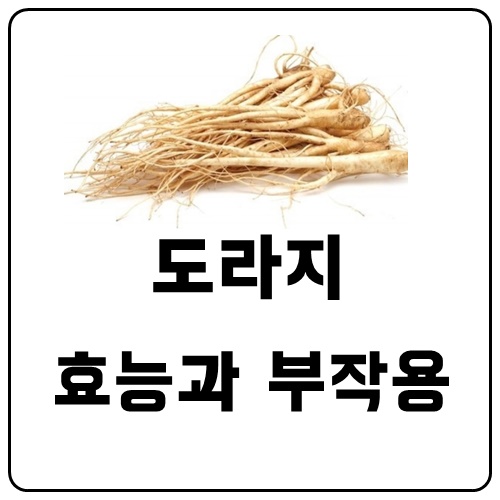  도라지의효능과부작용