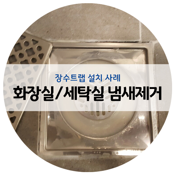  서대문구 대현동 화장실 / 세탁실 냄새제거 작업 진행