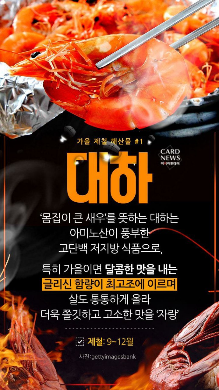  가을 제철 해산물