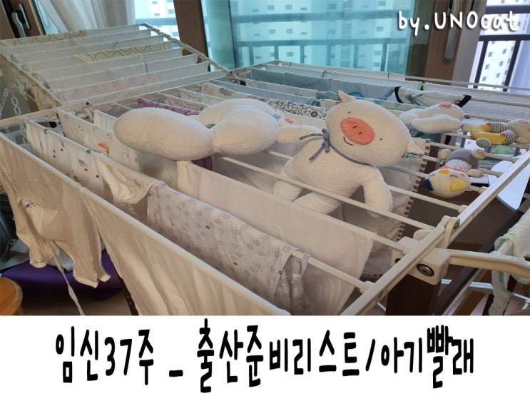  [임신일지] 임신37주 태동검사 태아크기 임산부운동 출산준비리스트 애기빨래