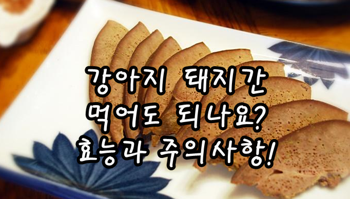  강아지 돼지간 먹어도 되나요? 효능과 주의사항!