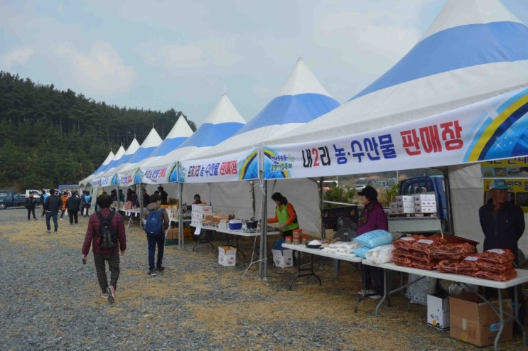  10월 가볼만한곳 태안축제 사전예약 하고 상품 받아가자 !
