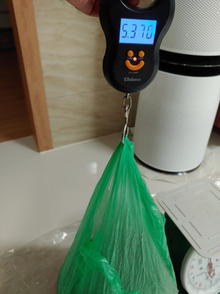  휴대용 손저울 오차는? 일반 저울과 비교 측정