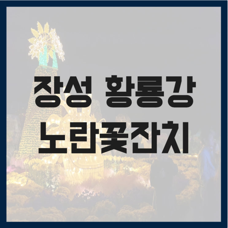 장성 황룡강 노란꽃잔치 후기