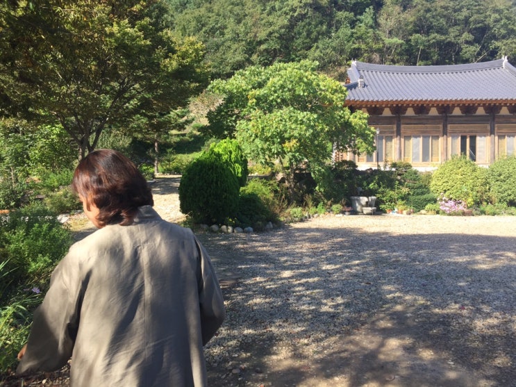 한국여행 D+6,7,8 눈이 부시게